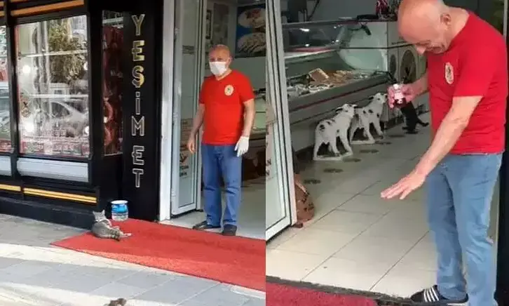 ഇവിടെ സ്​​നേഹമുണ്ട്​, ഭക്ഷണവും; തുർക്കിയിലെ ഇക്രം കോർക്മസറി​ന്‍റെ കടക്ക് മുന്നിലെ കൗതുക കാഴ്ച