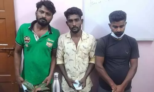 ആയുധങ്ങളുമായി വീടുകളിൽ കയറി കവർച്ച; പ്രതികൾ പിടിയിൽ