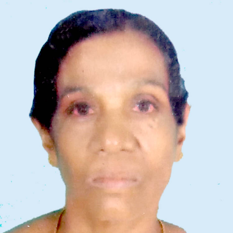 ജാ​നു