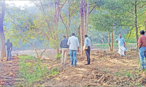 പൂക്കോട്​ തടാകം: കോടികൾ ചെലവിട്ട്​ നീക്കിയ പായൽ വീണ്ടും നിറഞ്ഞു