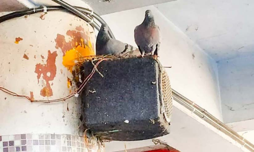 ഇരിക്കാനിടമില്ല, വെളിച്ചവുമില്ല; തിരുനക്കര ബസ് സ്റ്റാൻഡ് യാത്രക്കാരെ വലക്കുന്നു