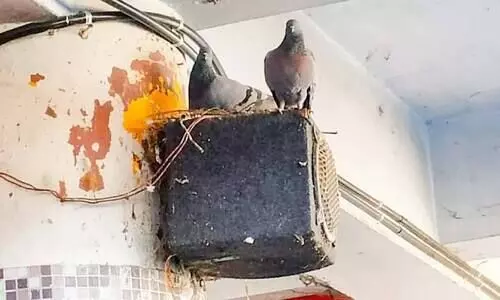 ഇരിക്കാനിടമില്ല, വെളിച്ചവുമില്ല; തിരുനക്കര ബസ് സ്റ്റാൻഡ് യാത്രക്കാരെ വലക്കുന്നു ഇരിക്കാനിടമില്ല, വെളിച്ചവുമില്ല; തിരുനക്കര ബസ് സ്റ്റാൻഡ് യാത്രക്കാരെ വലക്കുന്നു