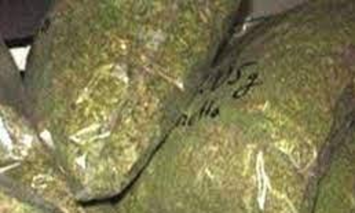 ട്രെയിനിൽ 10 കിലോ കഞ്ചാവ് കണ്ടെത്തി