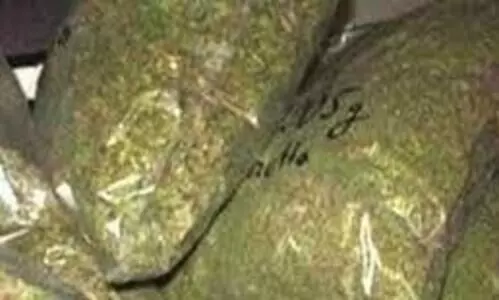 ട്രെയിനിൽ 10 കിലോ കഞ്ചാവ് കണ്ടെത്തി ട്രെയിനിൽ 10 കിലോ കഞ്ചാവ് കണ്ടെത്തി