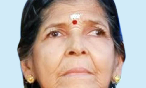 ബൈ​ക്ക് ഇ​ടി​ച്ച് വ​യോ​ധി​ക മ​രി​ച്ചു