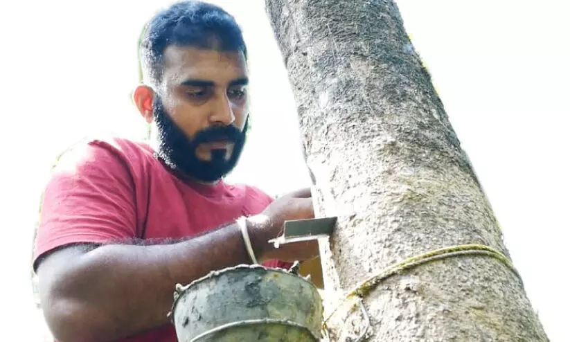 ദേ​ശീ​യ സ്‌​കൂ​ൾ അ​ത്‌​ല​റ്റി​ക് ചാ​മ്പ്യ​ൻ കൃഷിത്തിരക്കിലാണ്​...