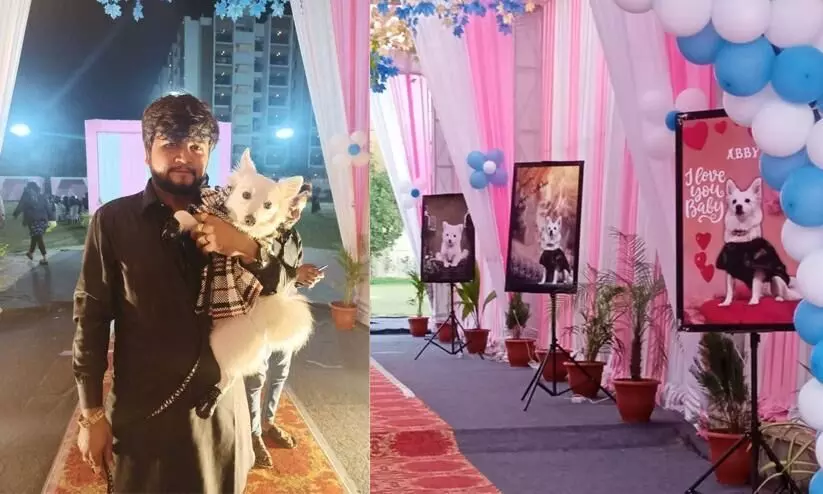 Dog gets a lavish party worth Rs 7 lakhs for its birthday