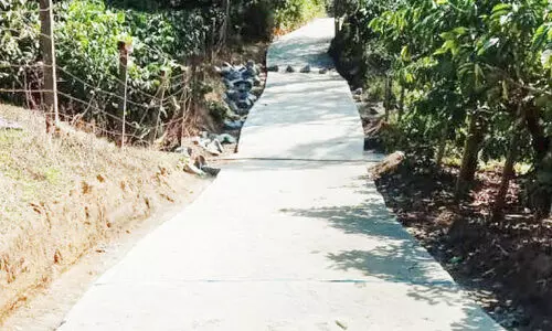 റാ​ട്ട​ക്കൊ​ല്ലി കോ​ള​നി​യി​ലേ​ക്കു​ള്ള റോ​ഡ് 125 മീ​റ്റ​ർ കോ​ൺ​ക്രീ​റ്റ് ചെ​യ്തു