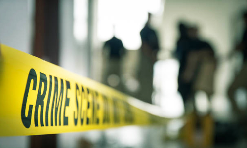 ഇരട്ടറോമീ തിരോധാനം -കുറ്റാന്വേഷണ കഥ വായിക്കാം