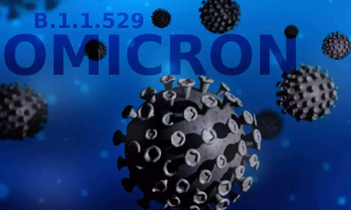 ഒടുവിൽ ഒമിക്രോണും; ടൂറിസം അനിശ്ചിതത്വത്തിൽ