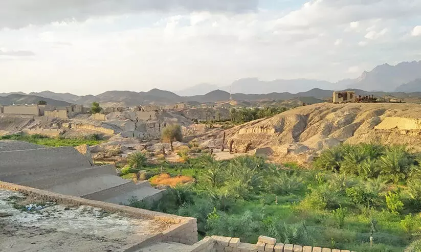 യാം​ബു അ​ൽ ന​ഖ്‌​ലി​ൽ ഹ​രി​ത​വ​ത്​​ക​ര​ണം:​   അ​ഞ്ച് ക​ൽ​ക്ക​രി പ്ലാ​ന്‍റു​ക​ളെ ഒ​ഴി​വാ​ക്കു​ന്നു