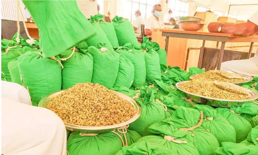 Prices fall Cardamom farmers in distress