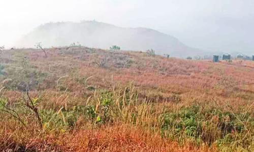 സഞ്ചാരികളുടെ മനംകവർന്ന് മുനീശ്വരൻകുന്ന്