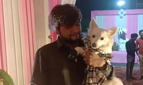 In Gujarat 3 Arrested For Celebrating Pet Dogs Birthday Amid Covid Norms