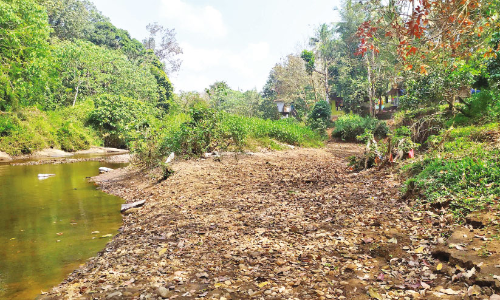 മുപ്ലി പുഴയിലെ മണ്‍തുരുത്ത് ആദിവാസികള്‍ക്ക് ദുരിതമായി