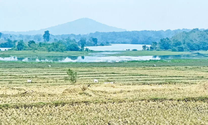 കൊളവള്ളിയിൽ ഇക്കോ ടൂറിസം പദ്ധതിയുമായി വനംവകുപ്പ്