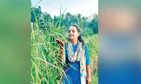 samyuktha is reaping success in paddy cultivation