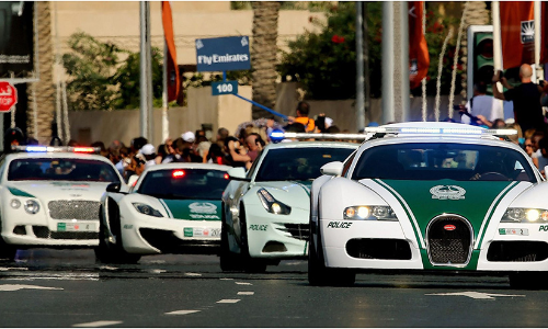 കഴിഞ്ഞ വർഷം ദുബൈ പൊലീസ്​ പിടികൂടിയത്​​ 145 പിടികിട്ടാപ്പുള്ളികളെ