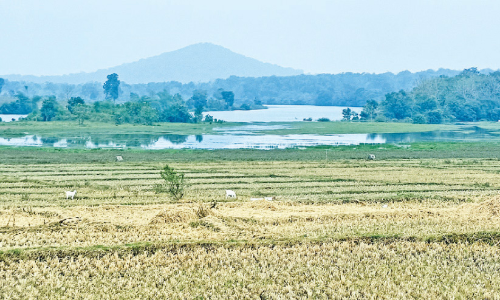 കൊളവള്ളിയിൽ ഇക്കോ ടൂറിസം പദ്ധതിയുമായി വനംവകുപ്പ്