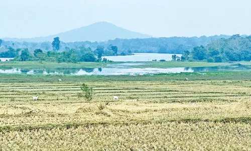 കൊളവള്ളിയിൽ ഇക്കോ ടൂറിസം പദ്ധതിയുമായി വനംവകുപ്പ്