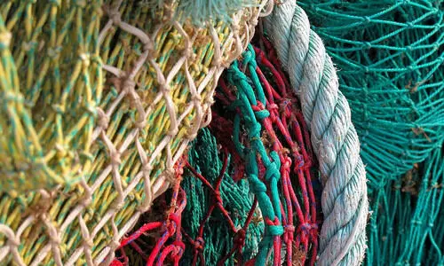 40 അ​ന​ധി​കൃ​ത മ​ത്സ്യ​ബ​ന്ധ​ന വ​ല​ക​ൾ പി​ടി​കൂ​ടി