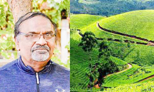 എ‍‍​ന്‍റെ ഇടുക്കി: ഇനിയും പ്രതീക്ഷകളുണ്ട്....