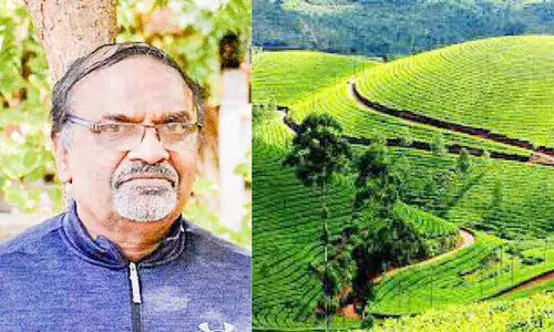 എ‍‍​ന്‍റെ ഇടുക്കി: ഇനിയും പ്രതീക്ഷകളുണ്ട്....