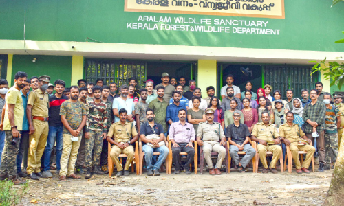 ആറളത്ത് ചിത്രശലഭങ്ങൾ വർധിക്കുന്നു