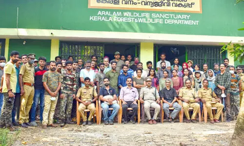 ആറളത്ത് ചിത്രശലഭങ്ങൾ വർധിക്കുന്നു