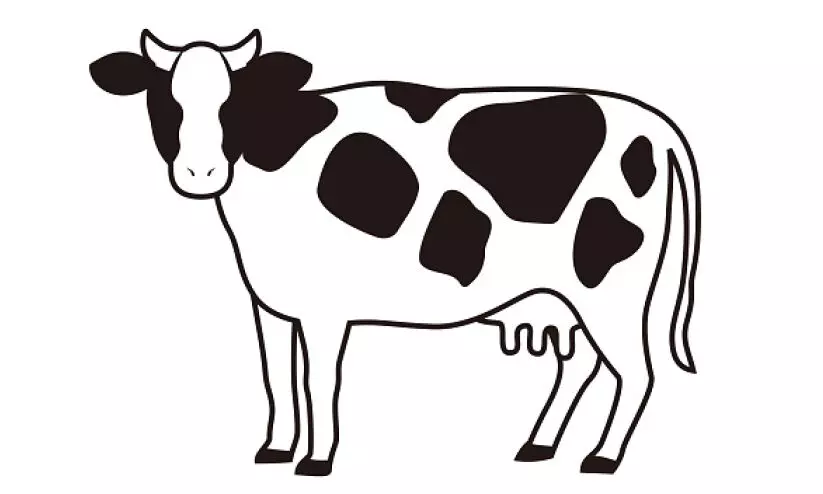 cow