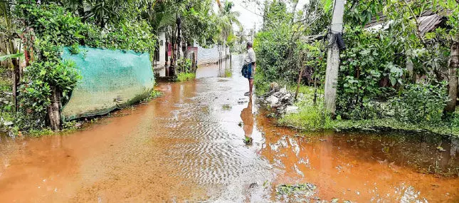 Kuttanad without release from floods