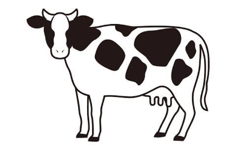 cow