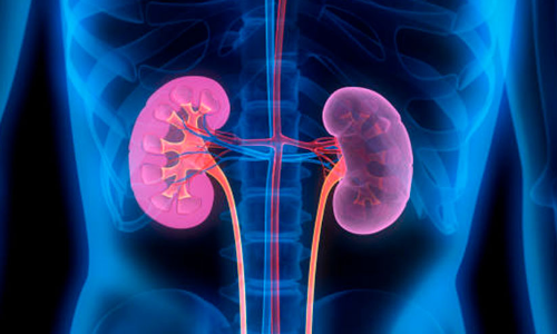 ഒ​രാ​ഴ്​​ച​ക്കി​ടെ നാ​ലു​ പേ​ർ​ക്ക്​ വൃ​ക്ക മാ​റ്റി​വെ​ക്ക​ൽ ശ​സ്ത്ര​ക്രി​യ