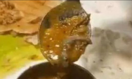 സാമ്പാറിൽ ചത്ത പല്ലി; 70 സ്കൂൾ വിദ്യാർഥികൾക്ക് ദേഹാസ്വാസ്ഥ്യം