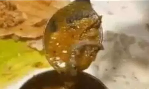 സാമ്പാറിൽ ചത്ത പല്ലി; 70 സ്കൂൾ വിദ്യാർഥികൾക്ക് ദേഹാസ്വാസ്ഥ്യം