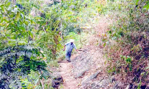 Kizhakkanmala development