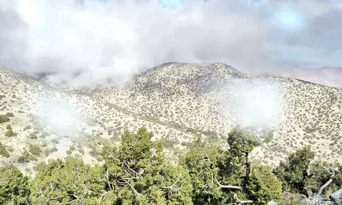 കോ​ട​മ​ഞ്ഞി​ൽ കുളിച്ച്​ താ​ഇ​ഫി​ലെ അ​ൽ-​ശ​ഫ പ​ർ​വ​ത താ​ഴ്‌​വാരം