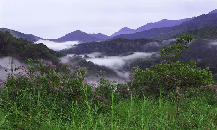 സൈലൻറ്​ വാലിയുടെ മടിത്തട്ടിലൂടെ ഒരു യാത്ര...