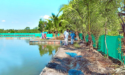 ക​ണ്ട​ച്ചി​റ​യി​ലെ കാ​യ​ൽ കൈ​യേ​റ്റ​ത്തി​ന്‍റെ ദൃ​ശ്യ​ങ്ങ​ൾ