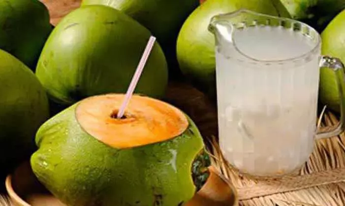 tender cocunut tender cocunut