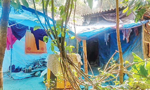 നിർധന ദമ്പതികൾക്ക് സ്വന്തമായൊരു വീട് സ്വപ്നങ്ങളിൽ മാത്രം നിർധന ദമ്പതികൾക്ക് സ്വന്തമായൊരു വീട് സ്വപ്നങ്ങളിൽ മാത്രം