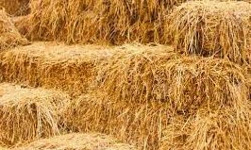 Cattle feed Straw