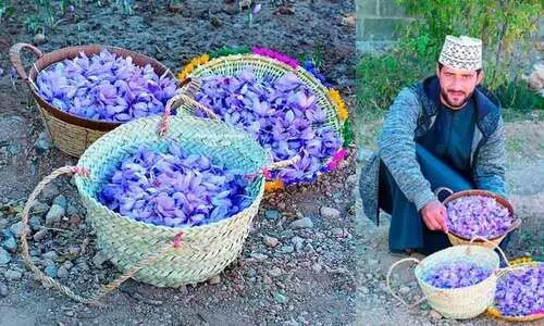 ജ​ബ​ൽ അ​ഖ്ദ​റി​ൽ കു​ങ്കു​മം വി​ള​യി​ച്ച് ഹാ​തിം വെ​ല്ലു​വി​ളി​യാ​യാ​ണ് ഏ​റ്റെ​ടു​ത്ത​ത്​