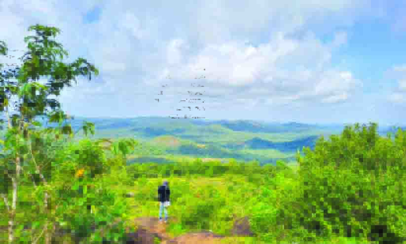 posadi gumpe posadi gumpe