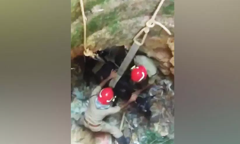 കിണറ്റിൽ വീണ പശുവിനെ രക്ഷപ്പെടുത്തി കിണറ്റിൽ വീണ പശുവിനെ രക്ഷപ്പെടുത്തി