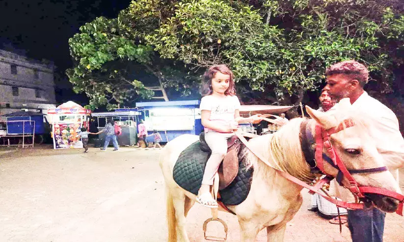 ചിൽഡ്രൻസ് പാർക്കിനുമുന്നിൽ ഇനി കുതിരസവാരിയും