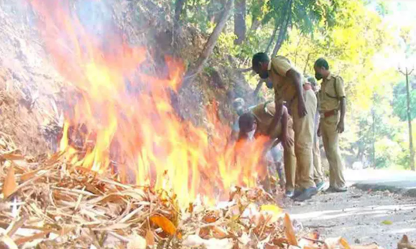 The forest department has taken precautionary measures to prevent the spread of wildfires
