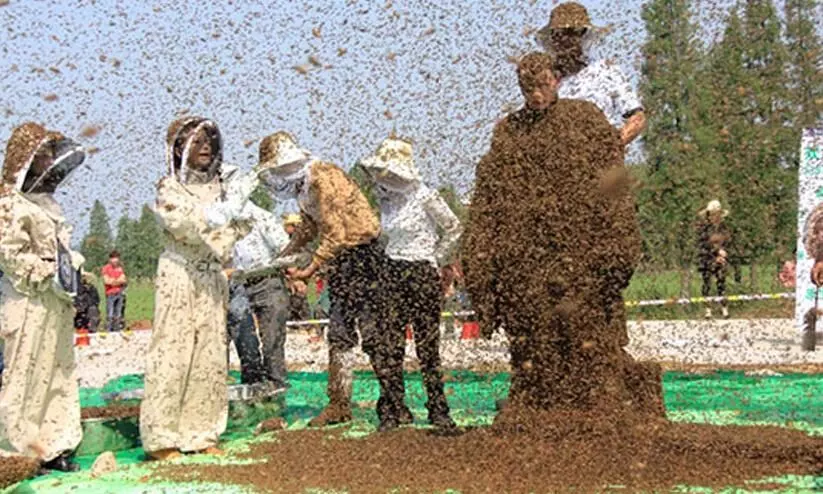 Ruan Liangming Ruan Liangming