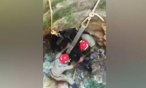 കിണറ്റിൽ വീണ പശുവിനെ രക്ഷപ്പെടുത്തി