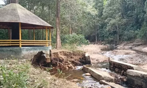 നാലുവർഷമായിട്ടും തുറന്നില്ല; പാലരുവിയിൽ  കുട്ടികളുടെ പാർക്ക് നശിച്ചു